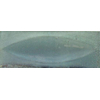 Ceralto Alvera Decor Decor-strip - 7.5x20cm - 12.5mm - Turchese eye SW1473892