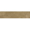 Ceralto Verano Classic Wandtegel - 5X20 - 9.5mm - glans - bellini SW1591285