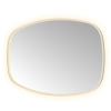 Hotbath &MORE Spiegel in aluminium frame / contour - 80x120cm - inclusief direct & indirect LED - spiegelverwarming - color changing - dimbaar - dottless - met afstandsbediening - geborsteld RVS 316 SW1246870