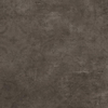 Ceralto Minuta Core Décor-bande - 60x60cm - 8.0mm - rectifié - Brun SW1171265