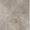 Ceralto Briano Accent Vloertegel - 100x100cm - 6.0mm - gerectificeerd - Palladium grey SW369275