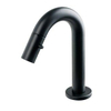 Plieger Lupo 2.0 robinet de WC noir mat SW420853