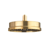 Crosswater MPRO INDUSTRIAL Hoofddouche 20cm - zonder douchearm antikalkbehandeling geborsteld messing living colours - geborsteld messing (goud) SW451387