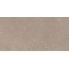 SAMPLE Ceralto Ivarno Core Vloertegel - 30X60 - 10mm - mat - beige SW1591675