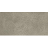 Ceralto Tivoli Accent Vloertegel - 29.7x59.7cm - 9.0mm - gerectificeerd - D.grey SW1175139