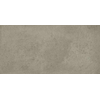 Ceralto Tivoli Accent Vloertegel - 59.7x119.7cm - 9.0mm - gerectificeerd - D.grey SW1175088