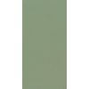 Ceralto Spectra Vloertegel - 60x120cm - 10.0mm - gerectificeerd - Green guru SW704708