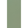 Cir chromagic carreaux de sol et de mur 60x120cm gourou vert SW704708
