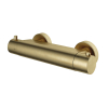 Hotbath Cobber Buddy - thermostatische douchemengkraan - met half duims doucheslang onderaansluiting - geborsteld messing goud SW73630