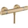 Hansgrohe Ecostat Comfort Douchekraan - thermostatisch - met koppelingen - thermostaat - geborsteld brons SW358654