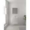 Bruynzeel Box badmeubelset 60x45cm 1 kraangat 1 wasbak 2 lades met spiegelkast met softclose composite glans wit SW383917 Bruynzeel Box badmeubelset 60x45cm 1 kraangat 1 wasbak 2 lades met spiegelkast met softclose composite glans wit SW383917