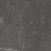 Beste koop Harmony carreau de sol et de mur 100x100cm 8.5mm résistant au gel rectifié noir mat noir SW543603