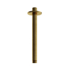 Hotbath Archie Plafondbuis - 20cm - PVD - geborsteld messing (goud) SW798891