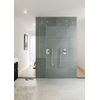 Bruynzeel Lector inloopdouche 120x210cm vrijstaand met aluminium muursteun 8mm helder glas GA12915 Bruynzeel Lector inloopdouche 120x210cm vrijstaand met aluminium muursteun 8mm helder glas GA12915