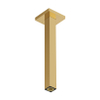 Hansgrohe Raindance alive Plafondaansluiting E - 300mm - gepolijst goud (goud) SW1388205
