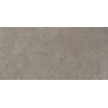 Ceralto Amaro Plank Wandtegel - 60x120cm - 9.0mm - gerectificeerd - Iron SW1474043