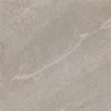 Colorker Dhara Carrelage de sol et de mur - 60x60cm - 8mm - rectifié - Porcellanato - Taupe (Marron) SW1129888