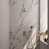 Brauer Douche pluie encastrable brossé - douche principale 20cm - bouton sculpté - douchette ronde 3 positions - PVD - inox brossé SW716118
