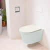 Mondiaz LAVIE hangtoilet – spoelrandloos – 36 x 53 cm – met softclose zitting – Greey (lichtgroen/grijs), zitting Linen (offwhite) SW1208650