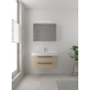 Bruynzeel Bando badmeubelset 90x45cm 1 kraangat 1 wasbak 2 lades met spiegelkast met softclose Composiet natuur eiken SW383416 Bruynzeel Bando badmeubelset 90x45cm 1 kraangat 1 wasbak 2 lades met spiegelkast met softclose Composiet natuur eiken SW383416