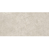 Ceralto Amaro Plank Carreau de sol - 30x60cm - 9.0mm - rectifié - Talc SW1473919