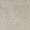 ÉCHANTILLON Ceralto Briano Grain carreau mural et de sol - 60x60cm - 10mm - rectifié - R10 - grès cérame - Argento (Gris) SW1221085