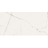Ceralto Marvella Marble Vloertegel - 60X120 - 6.5mm - glans - wit SW1578770