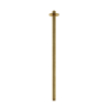 Hotbath Archie Plafondbuis - 50cm - PVD - geborsteld messing (goud) SW798926