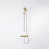 FugaFlow Eccelente Sobrado Ensemble de douche barre curseur avec douchette ronde, flexible en métal et robinet de douche Laiton brossé PVD SW1124044