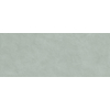 ÉCHANTILLON Terravito Evarno carreau mural - 30x75cm - rectifié - Sage mat (vert) SW1131112