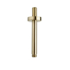 Wiesbaden Unimatch Douchearm - met plafondbevestiging - 15cm - PVD - geborsteld messing (goud) SW373435