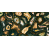Douglas Jones Silensis Carreau de sol - 60x120cm - 6,0mm - rectifié - Viridian gold SW1446187