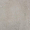 Ceralto Minuta Core Vloertegel - 60x60cm - 8.0mm - gerectificeerd - Grey SW368804