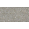 ÉCHANTILLON Terravito Elvano Carrelage mural en céramique - 30x60cm - rectifié - Greige SW1579546