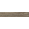 Baldocer Ceramica Belfast wand- en vloertegel - 20x120cm - 9mm - Rechthoek - gerectificeerd - Houtlook - Walnut mat SW492761