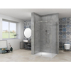 Van Rijn Products ST08 Paroi fixe - 110x200cm - verre transparent - épaisseur 8mm - profil mural - inox SW1030614