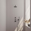 Brauer Gunmetal Edition Ensemble de douche pluie encastré - douche principale 20cm - bras mural - avec partie encastrable - boutons lisses - douchette à main 1 fonction - PVD - gunmetal brossé SW715881