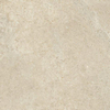 Ceralto Amaro Plank Carreau de sol - 60x60cm - 9.0mm - rectifié - Champagne SW1473925