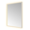 Hotbath &MORE Spiegel - 60x80cm - direct en indirect LED - color changing - spiegelverwarming - met afstandsbediening - geborsteld RVS 316 SW1246053