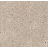 Ceralto Framel Vloertegel - 119.7x119.7cm - 6.0mm - gerectificeerd - Cookie mix SW1175079