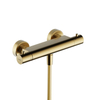 Hotbath Ace Douchemengkraan - thermostatisch - opbouw - doucheslang - PVD - geborsteld messing (goud) SW1117580