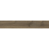 ÉCHANTILLON Terravito Novaro Walnut 25x150 rett SW1221642