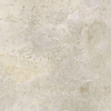ÉCHANTILLON Ceralto Minuta Craft Carrelage sol et mur 60x60cm 8mm rectifié R10 grès cérame Platinum White SW914102
