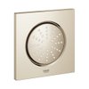 Grohe Rainshower F5 zijdouche met 1 straalsoort 12.7x12.7cm incl. inbouwkraanhuis nikkel SW98918 Grohe Rainshower F5 zijdouche met 1 straalsoort 12.7x12.7cm incl. inbouwkraanhuis nikkel SW98918