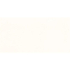 ÉCHANTILLON Rako Extra Carreau mural 30x60cm 10mm éclat blanc Beige blanc SW976404