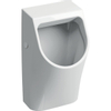 Geberit 300 urinoir 90 32,5x30cm avec arrivée arrière blanc SW417778