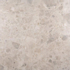 ÉCHANTILLON Ceralto Fragmenta Craft Carreau de sol - 100x100cm - 8,5mm - rectifié - Mix gris SW913337