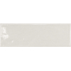 SAMPLE Terravito Elvella Voor wandtegel - 20x6.5cm - 8mm - Gris Claro Glans SW1221546
