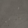Ceralto Elaris Oak Carrelage de sol - 60x60cm - 9,0mm - rectifié - Sabbia anthracite SW1242836