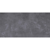 Terravito Belmiro wand- en vloertegel - 29.5x59.5cm - 8.7mm - Rechthoek - gerectificeerd - Betonlook - mat zwart - Silver SW1595612